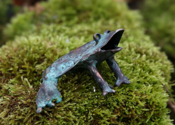 Click here to view Toad by Natalie Brown