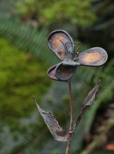 Click here to view Botanicals artwork by Natalie Brown