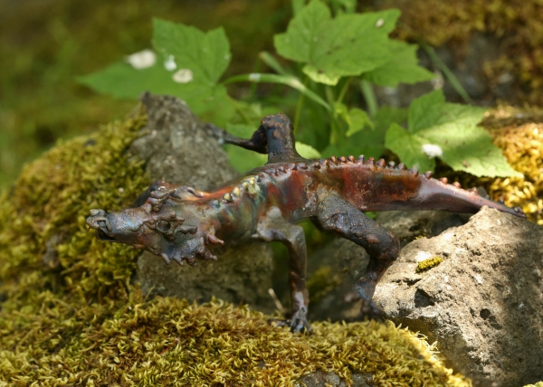 Click here to view Dracronic Crocodile by Natalie Brown