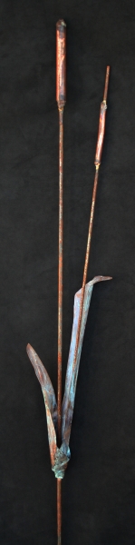 Click here to view Cattails by Natalie Brown