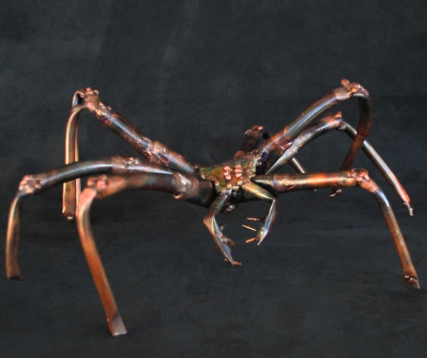 Click here to view Spider by Natalie Brown