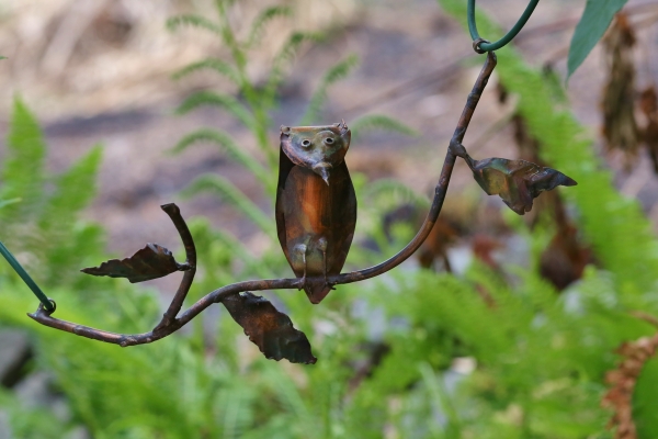 Click here to view Owl on a Branch by Natalie Brown