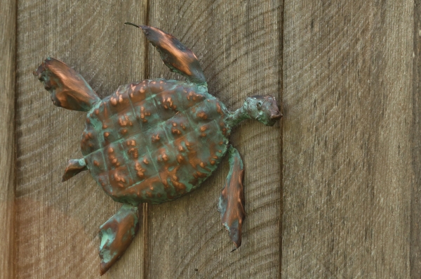 Click here to view Turtle - Large by Natalie Brown