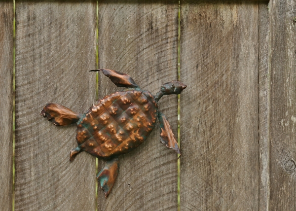 Click here to view Turtle - Small by Natalie Brown