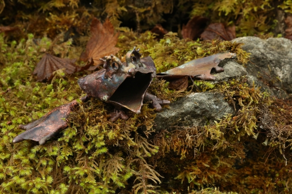 Click here to view Storyteller Toad by Natalie Brown